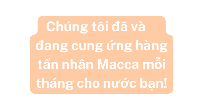 Chúng tôi đã và đang cung ứng hàng tấn nhân Macca mỗi tháng cho nước bạn